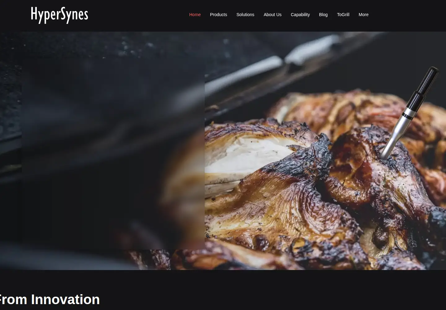 Captured homepage of hypersynes.com in the current scan