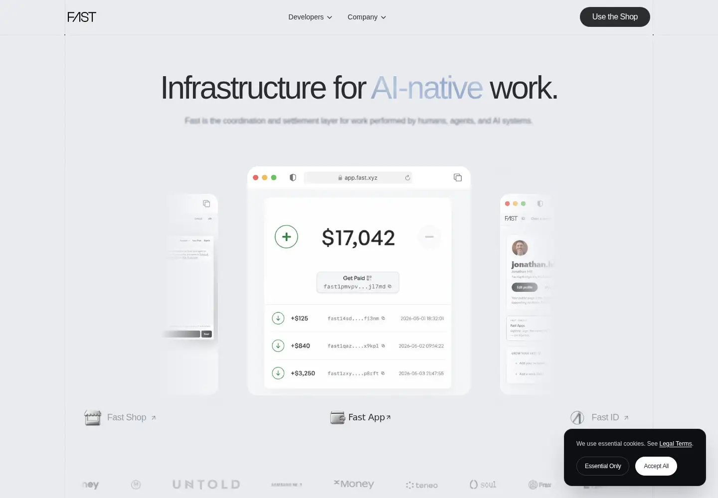 Captured homepage of fast.xyz in the current scan