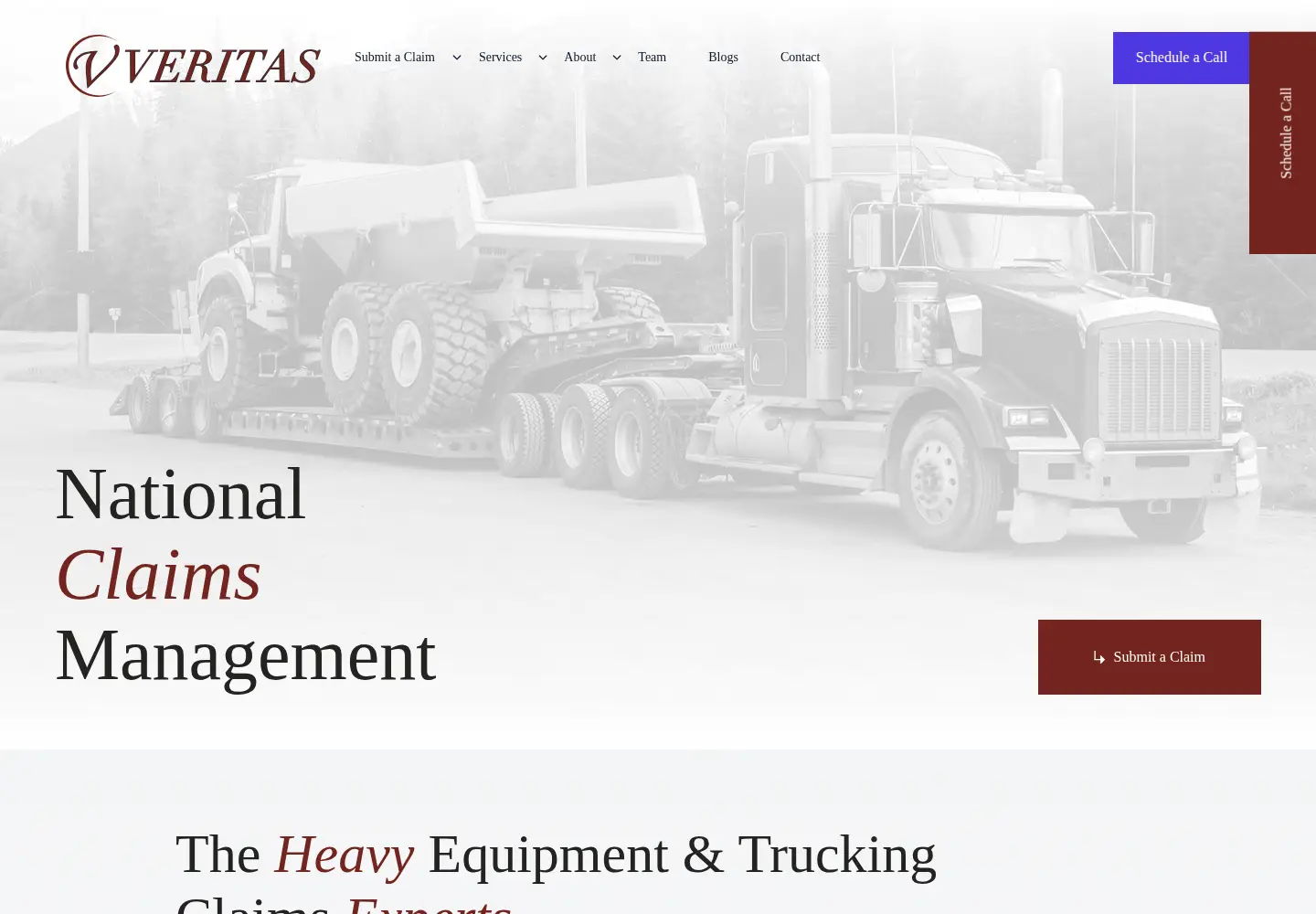 Screenshot of veritasclaims.com