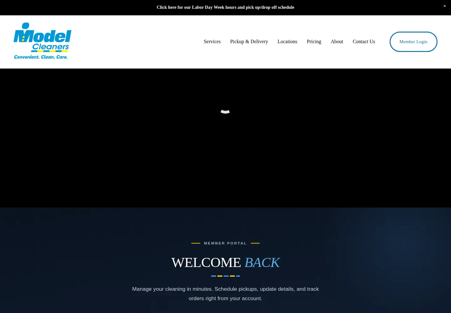 Screenshot of modelcleaners.com