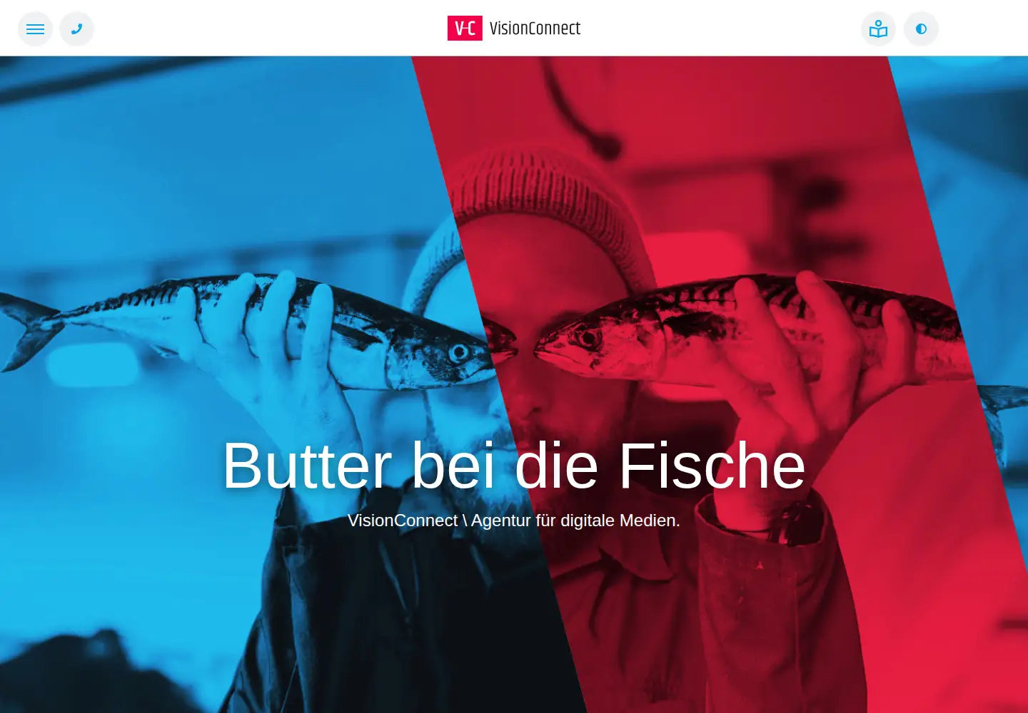 Captured homepage of visionconnect.de in the current scan