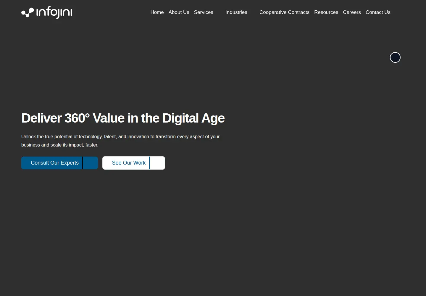 Screenshot of infojiniconsulting.com