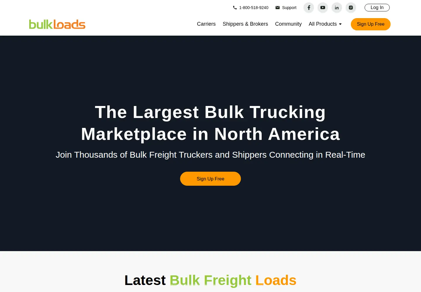 Captured homepage of bulkloads.com in the current scan