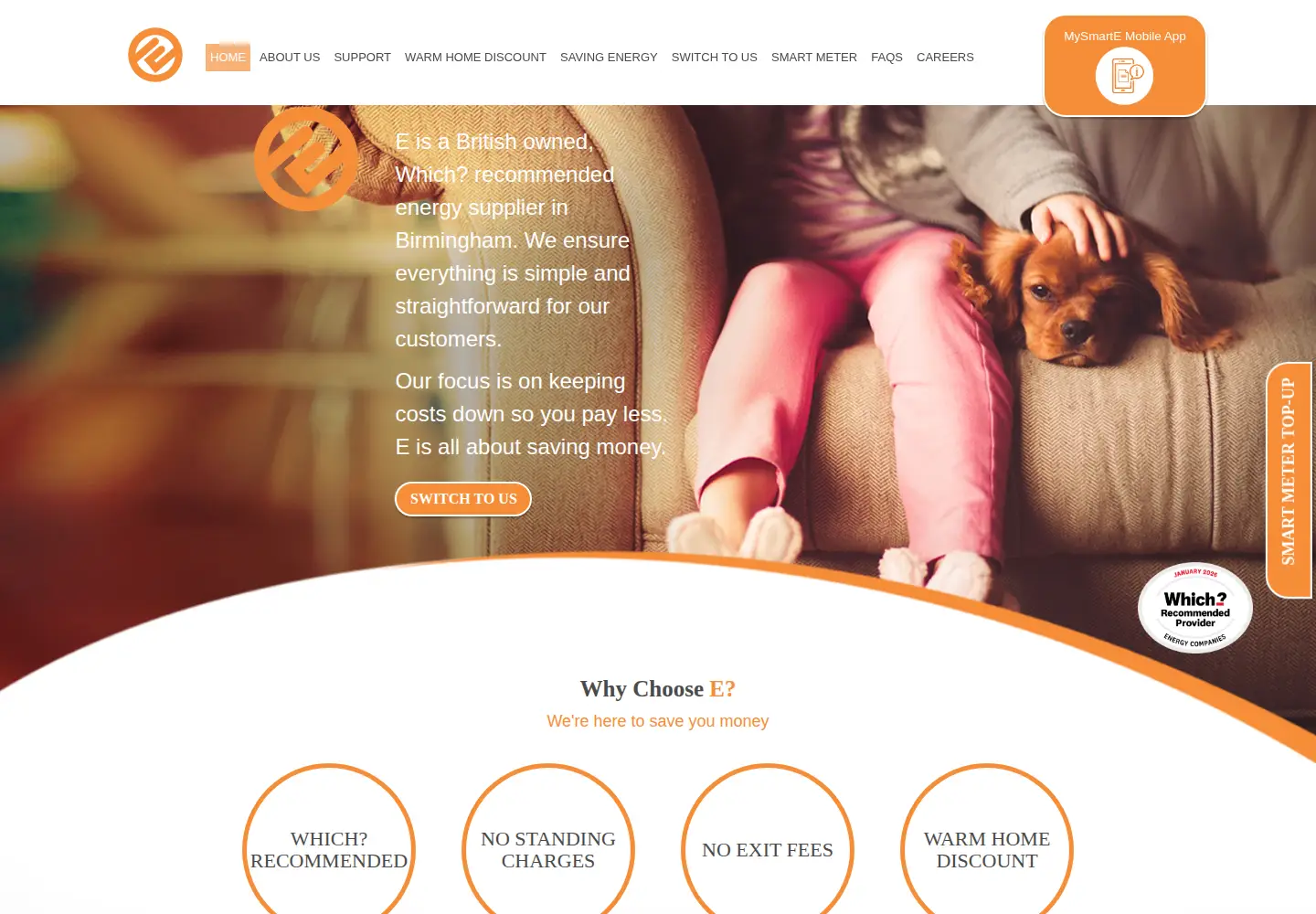 Captured homepage of e.org in the current scan