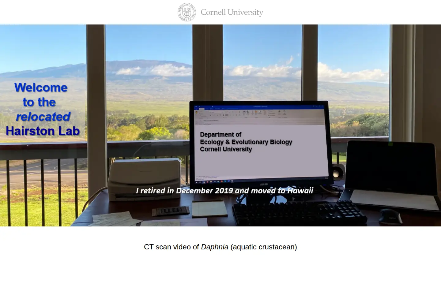 Screenshot of nelsonhairston.com
