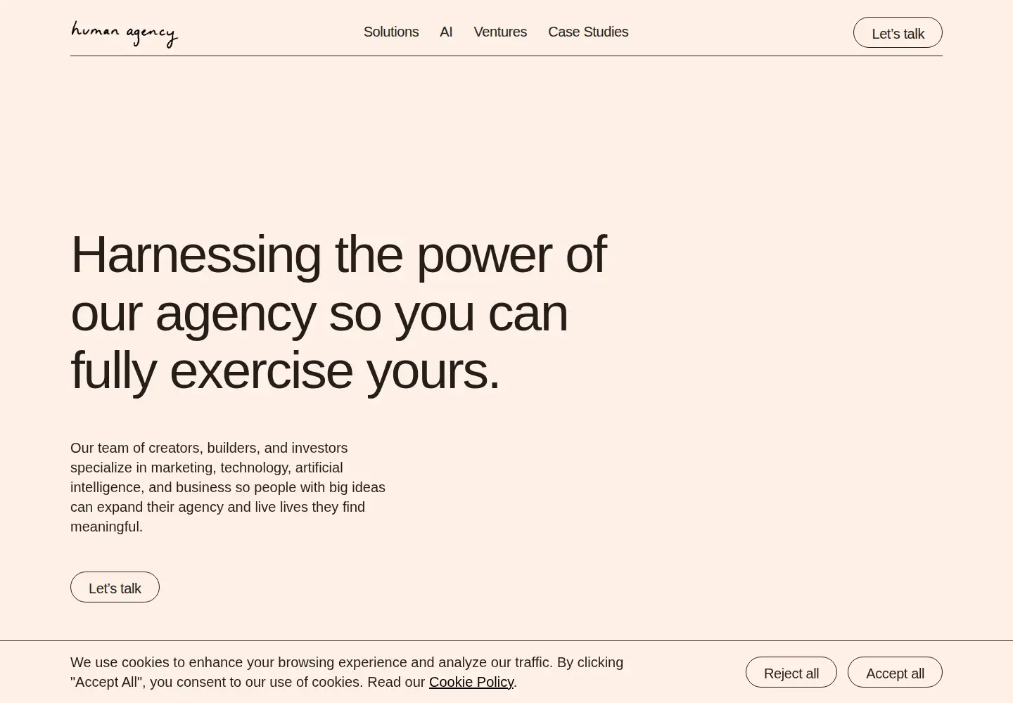 Captured homepage of humanagency.com in the current scan