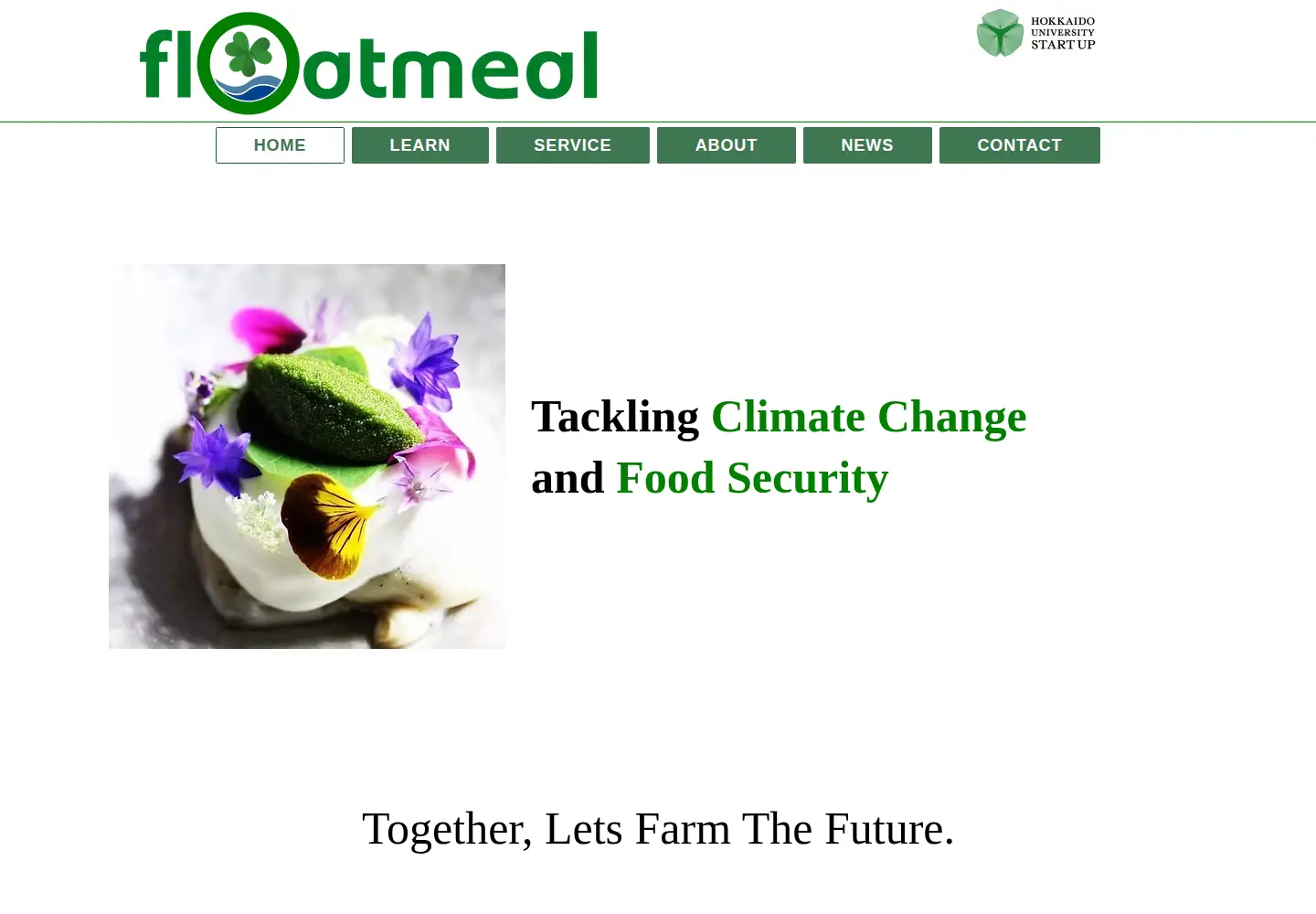 Screenshot of floatmeal.com