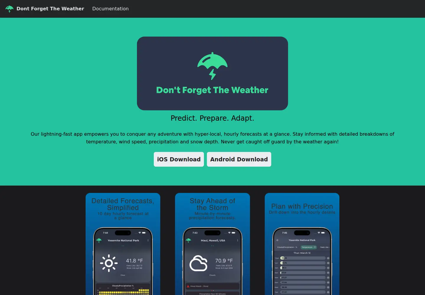 Captured homepage of dontforgettheweather.com in the current scan