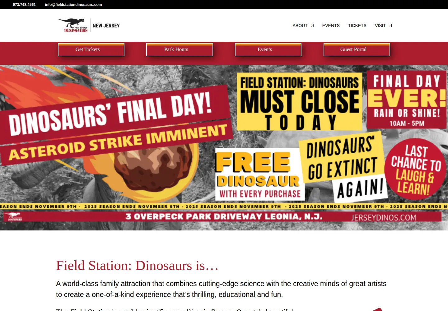Captured homepage of jerseydinos.com in the current scan