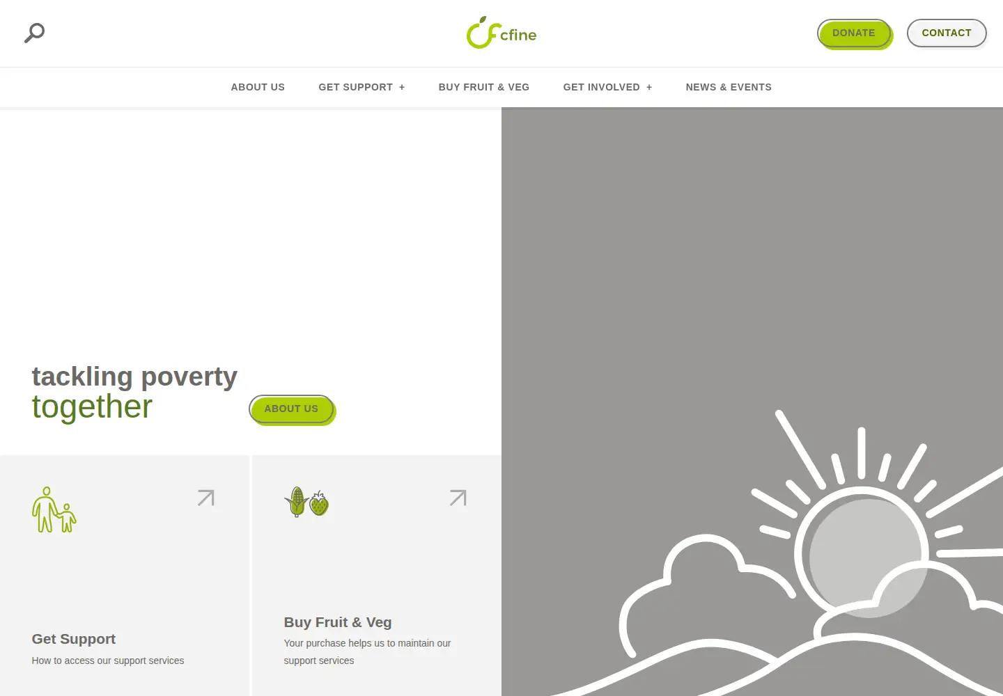 Captured homepage of cfine.org in the current scan