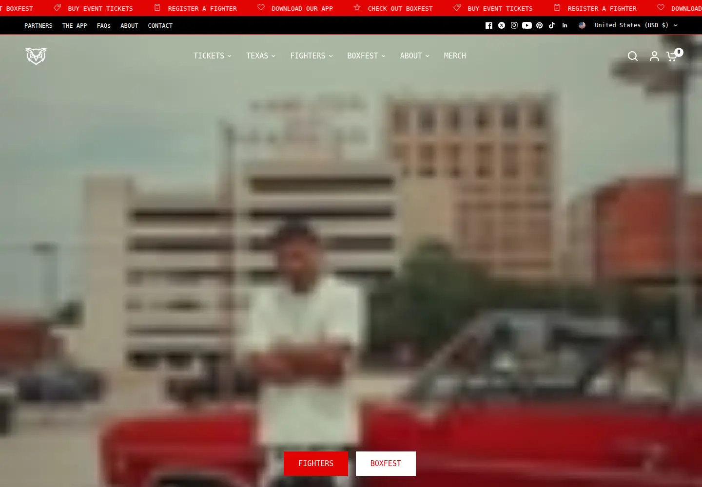 Captured homepage of redowlboxing.com in the current scan