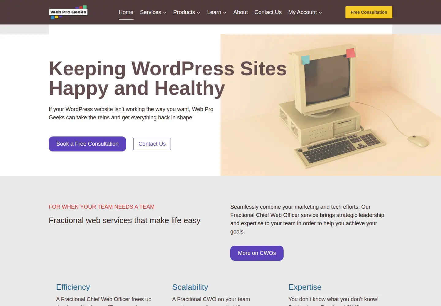 Captured homepage of webprogeeks.com in the current scan