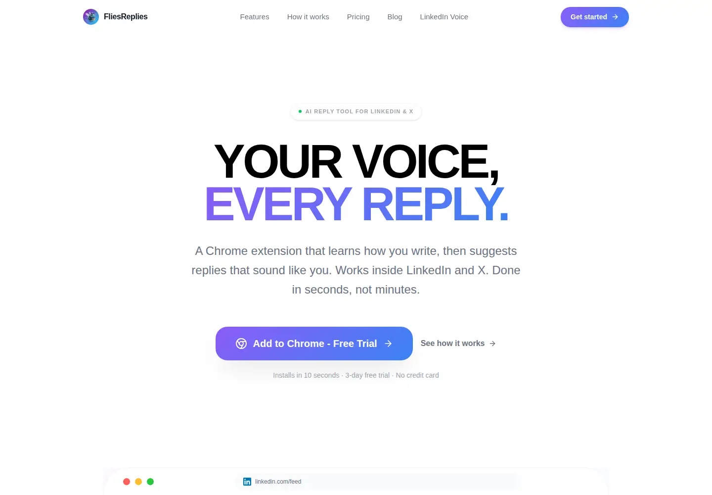 Captured homepage of fliesreplies.com in the current scan