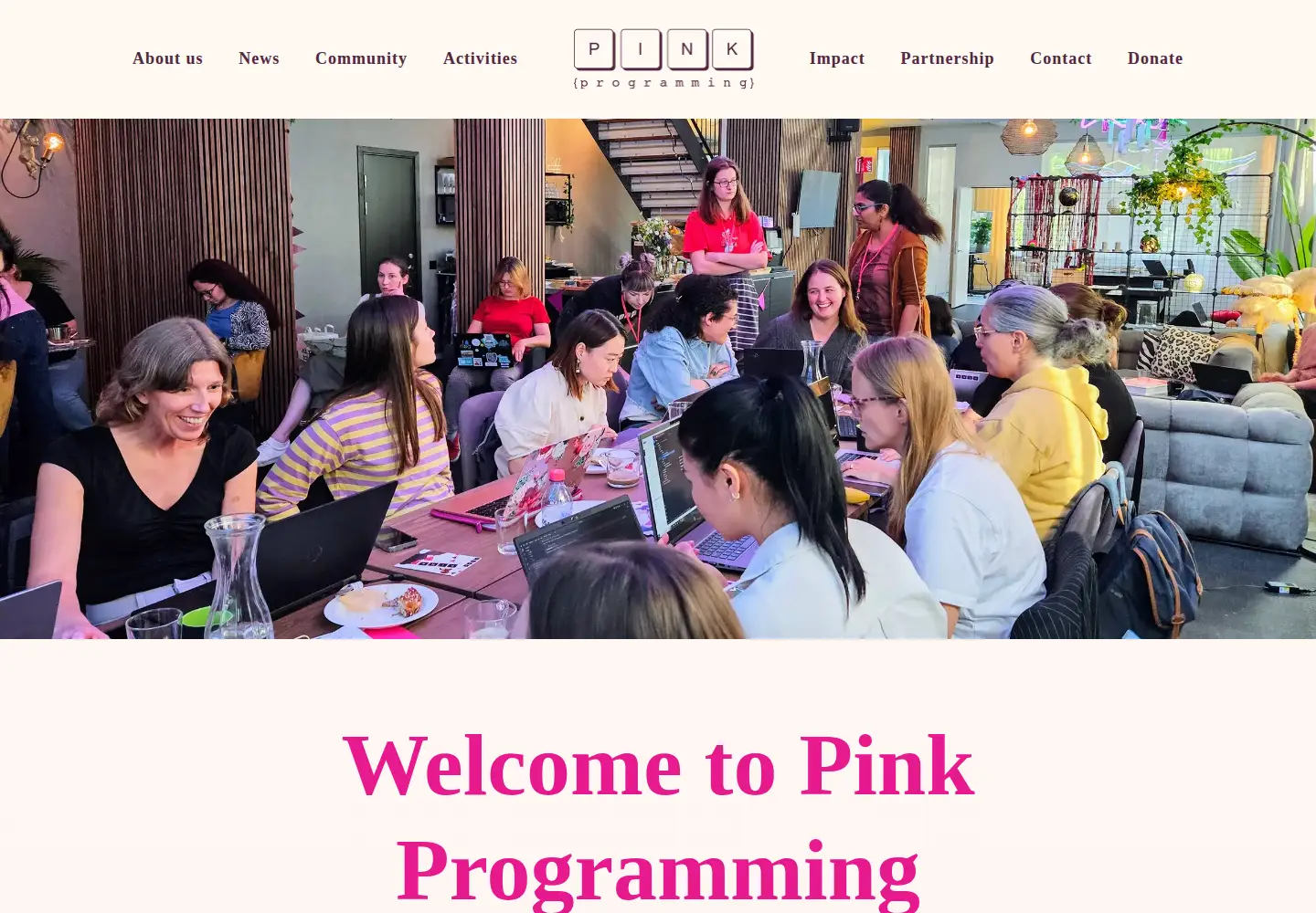 Screenshot of pinkprogramming.se