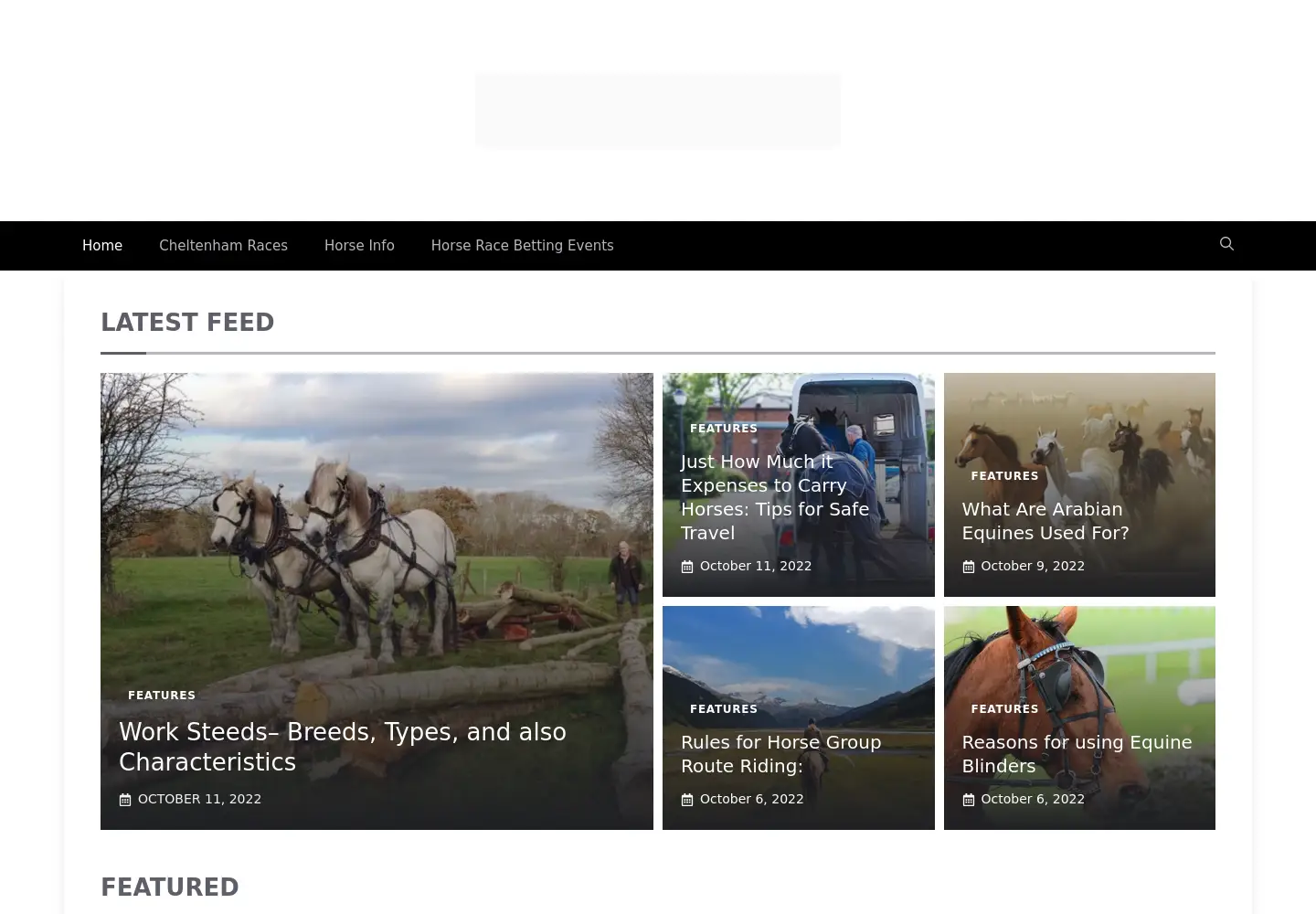 Captured homepage of cheltenhamracingtips.com in the current scan