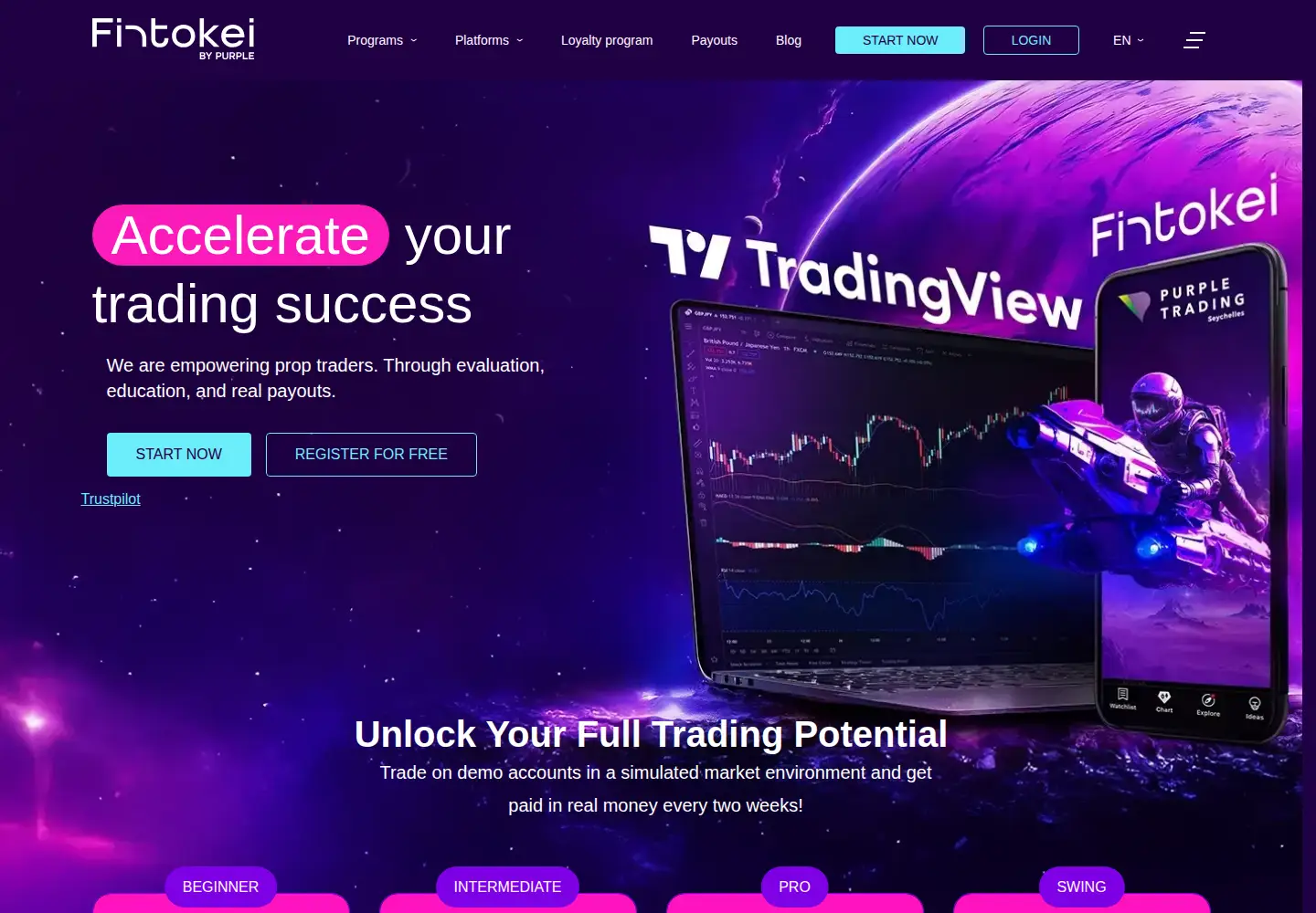 Screenshot of fintokei.com