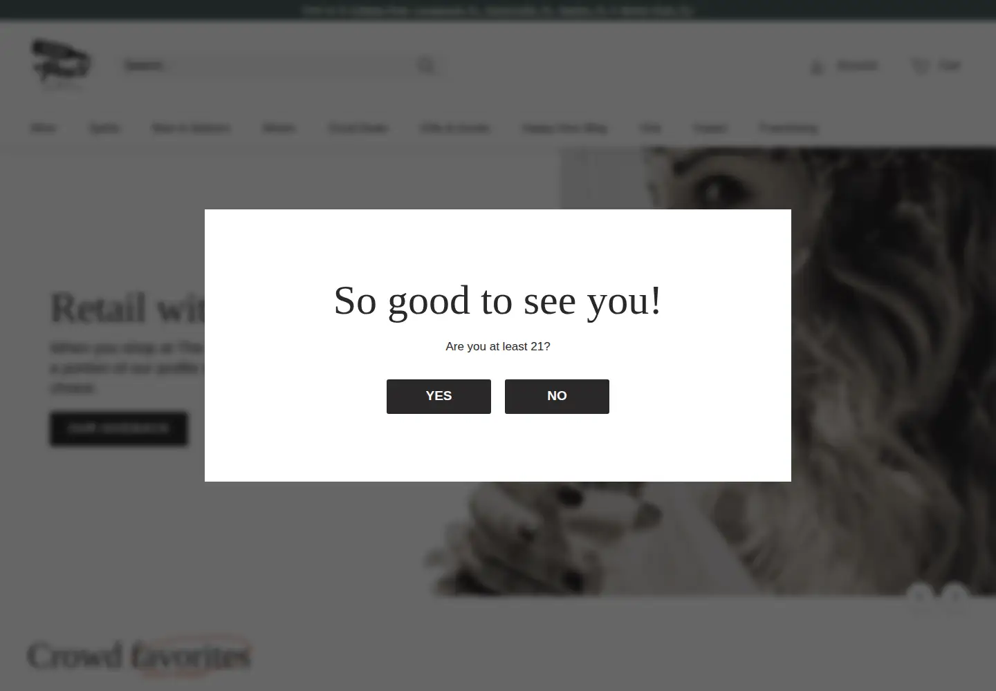 Captured homepage of goodpour.com in the current scan