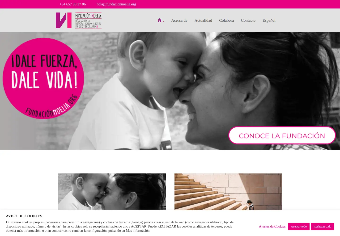Captured homepage of fundacionnoelia.org in the current scan
