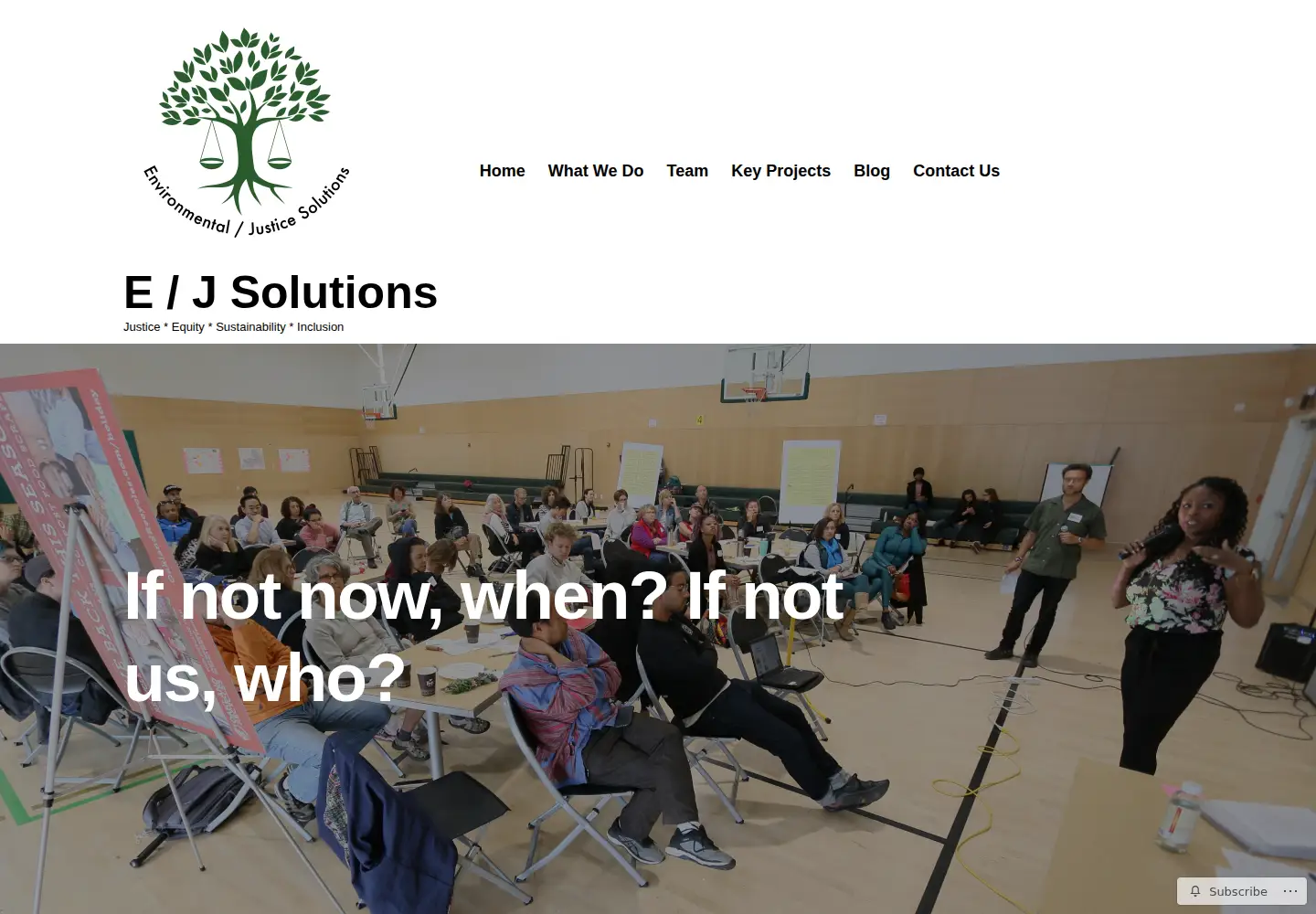 Captured homepage of environmentaljusticesolutions.com in the current scan