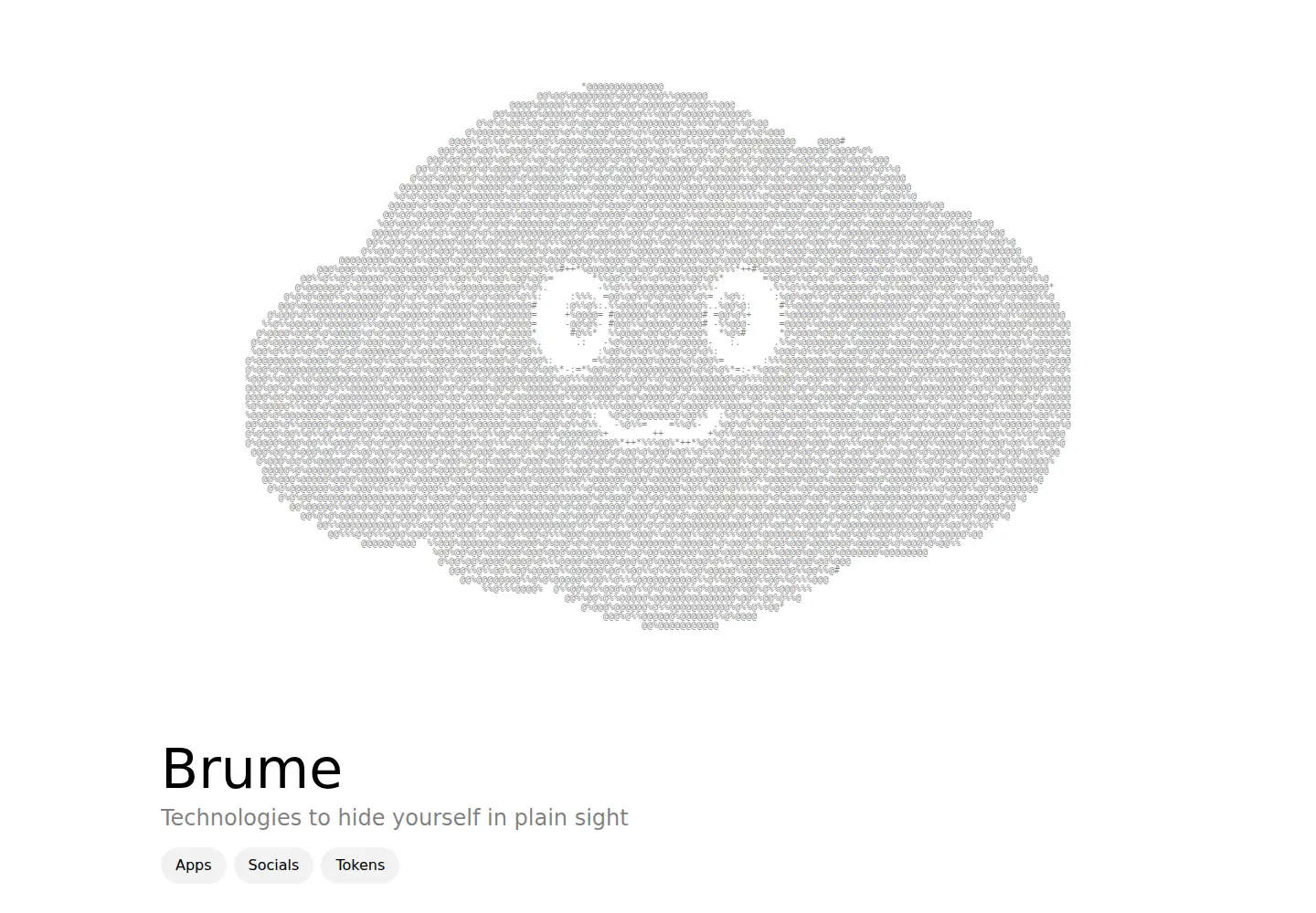 Captured homepage of brume.money in the current scan