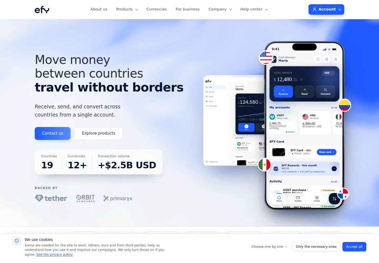Screenshot of efyfinance.com