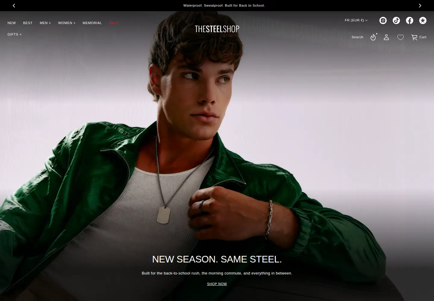 Screenshot of thesteelshop.com