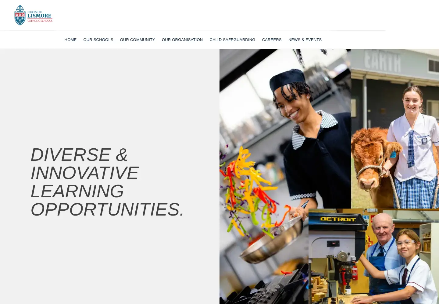 Captured homepage of lism.catholic.edu.au in the current scan