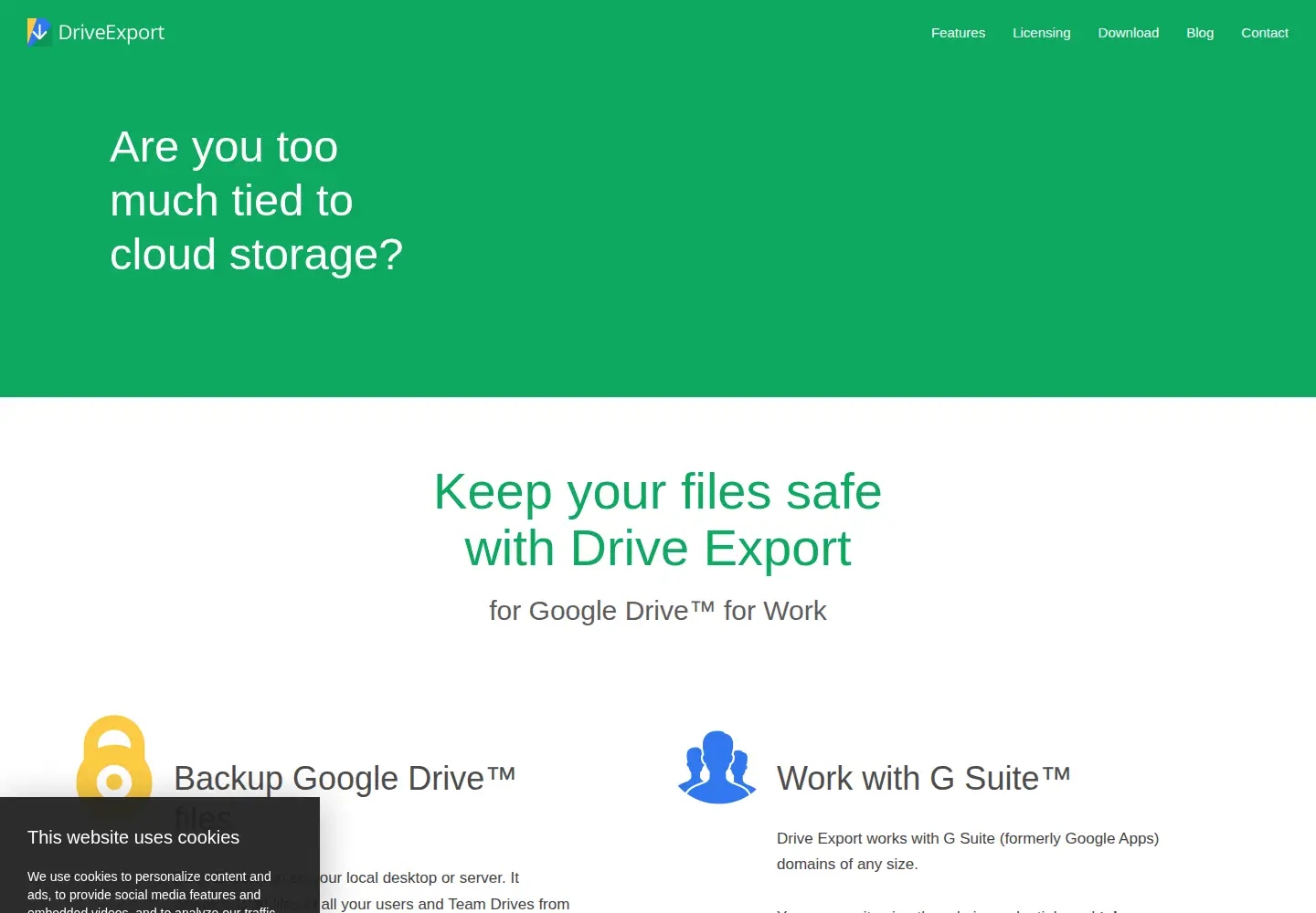 Screenshot of driveexport.com