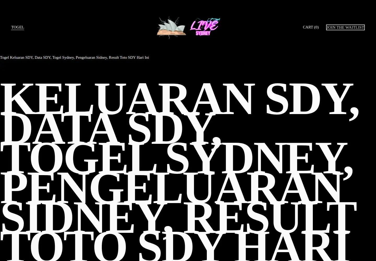 Captured homepage of a-sscc2024.org in the current scan