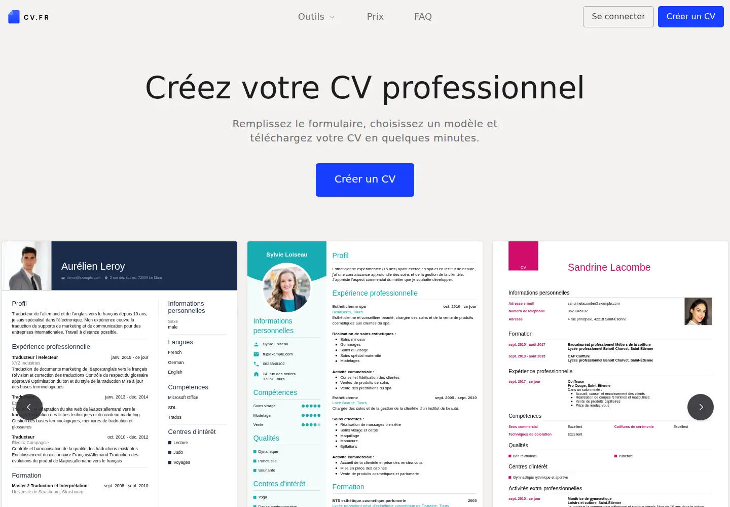 Captured homepage of cv.fr in the current scan