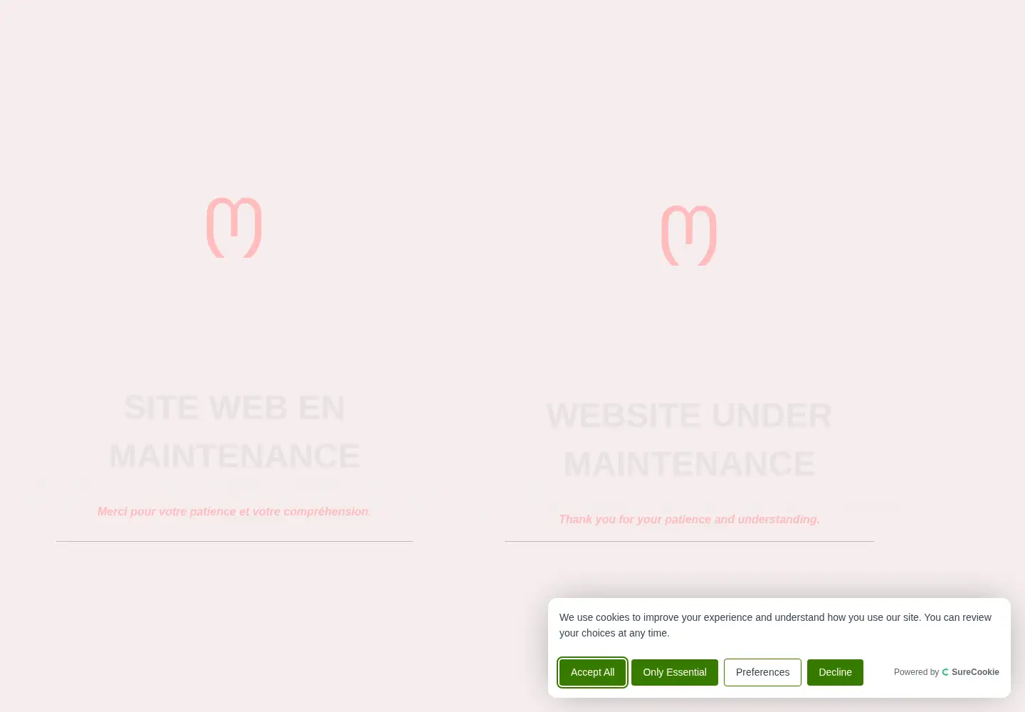 Captured homepage of nfcbank.com in the current scan