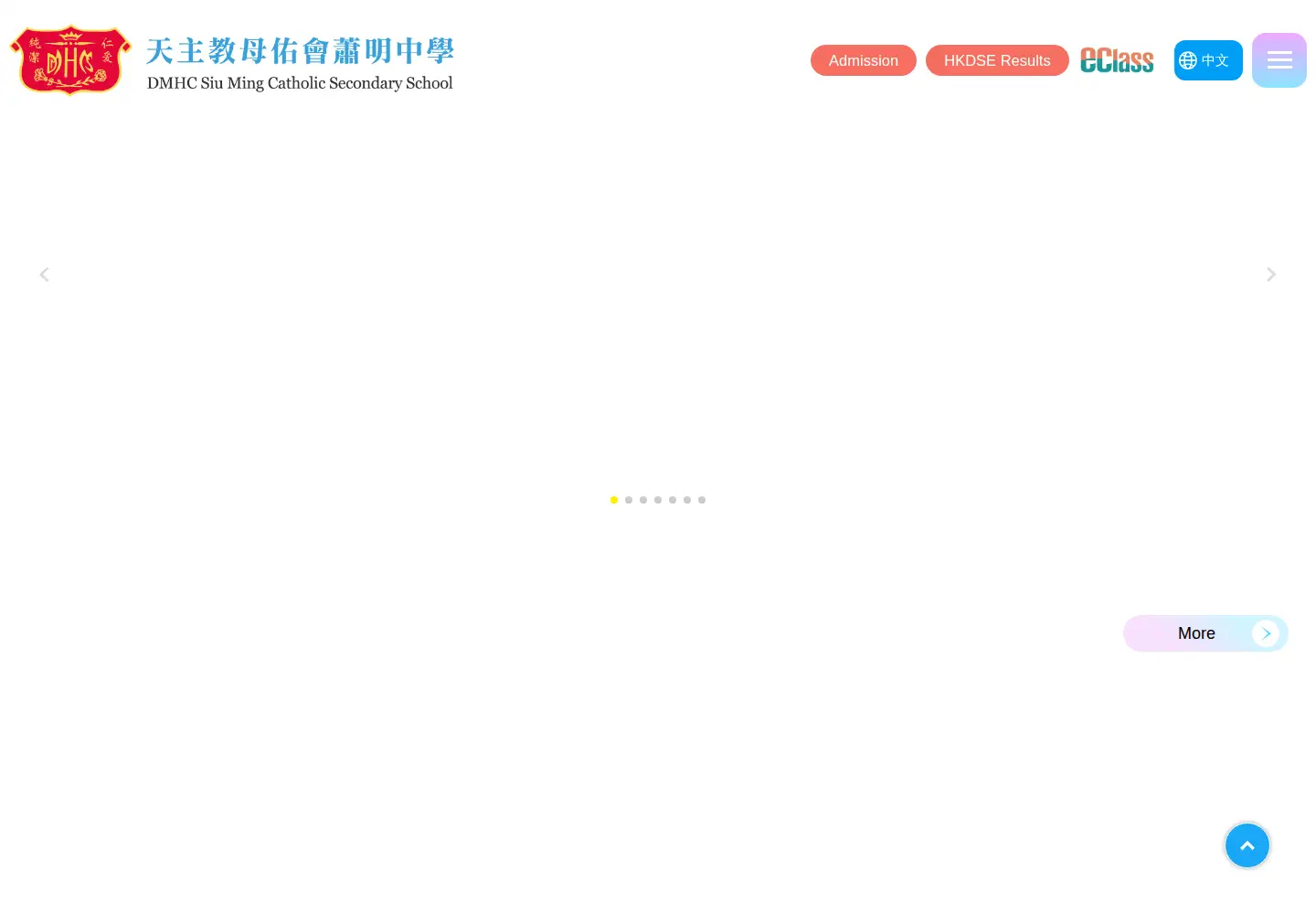 Screenshot of dmhcsm.edu.hk