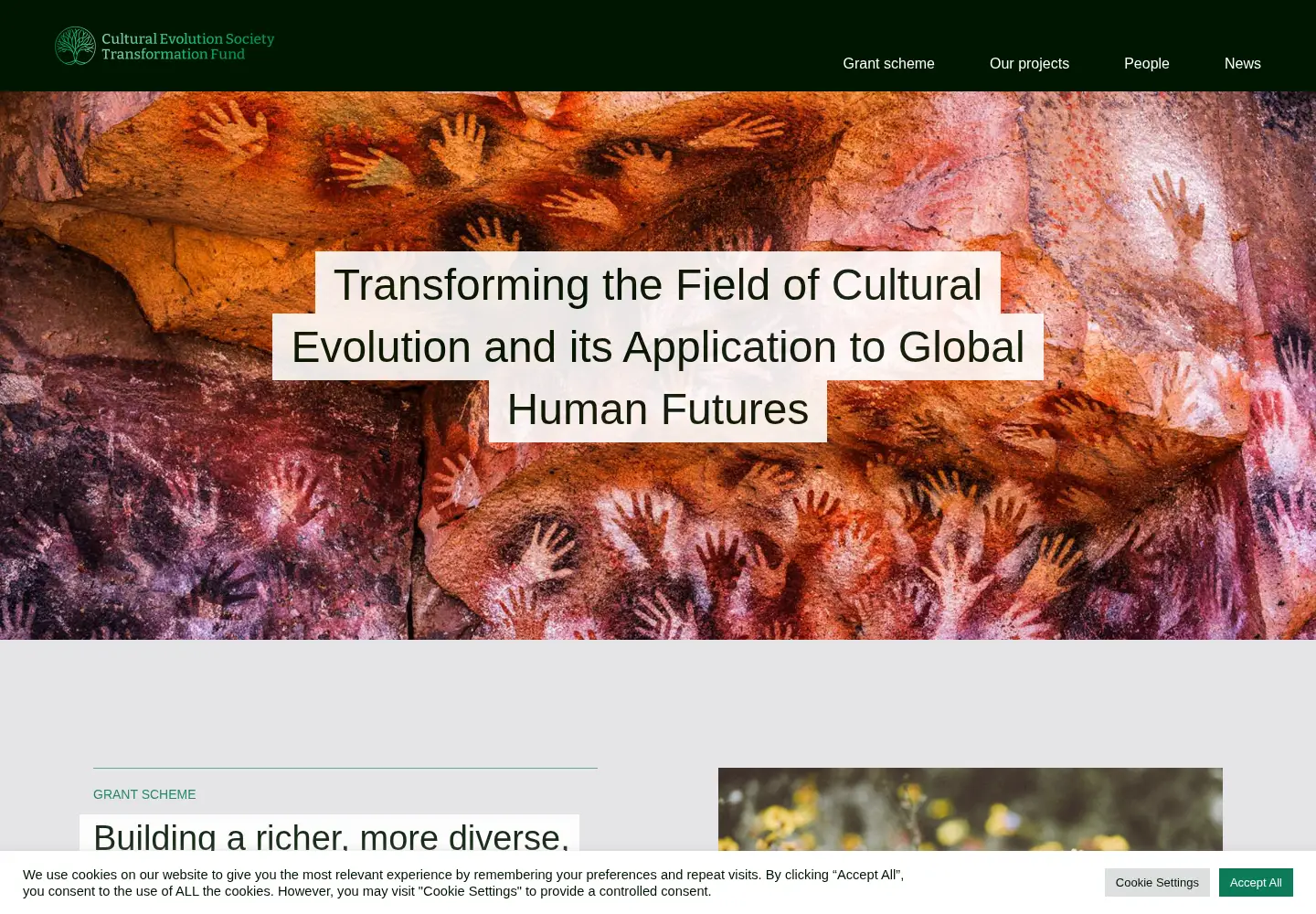 Screenshot of ces-transformationfund.org