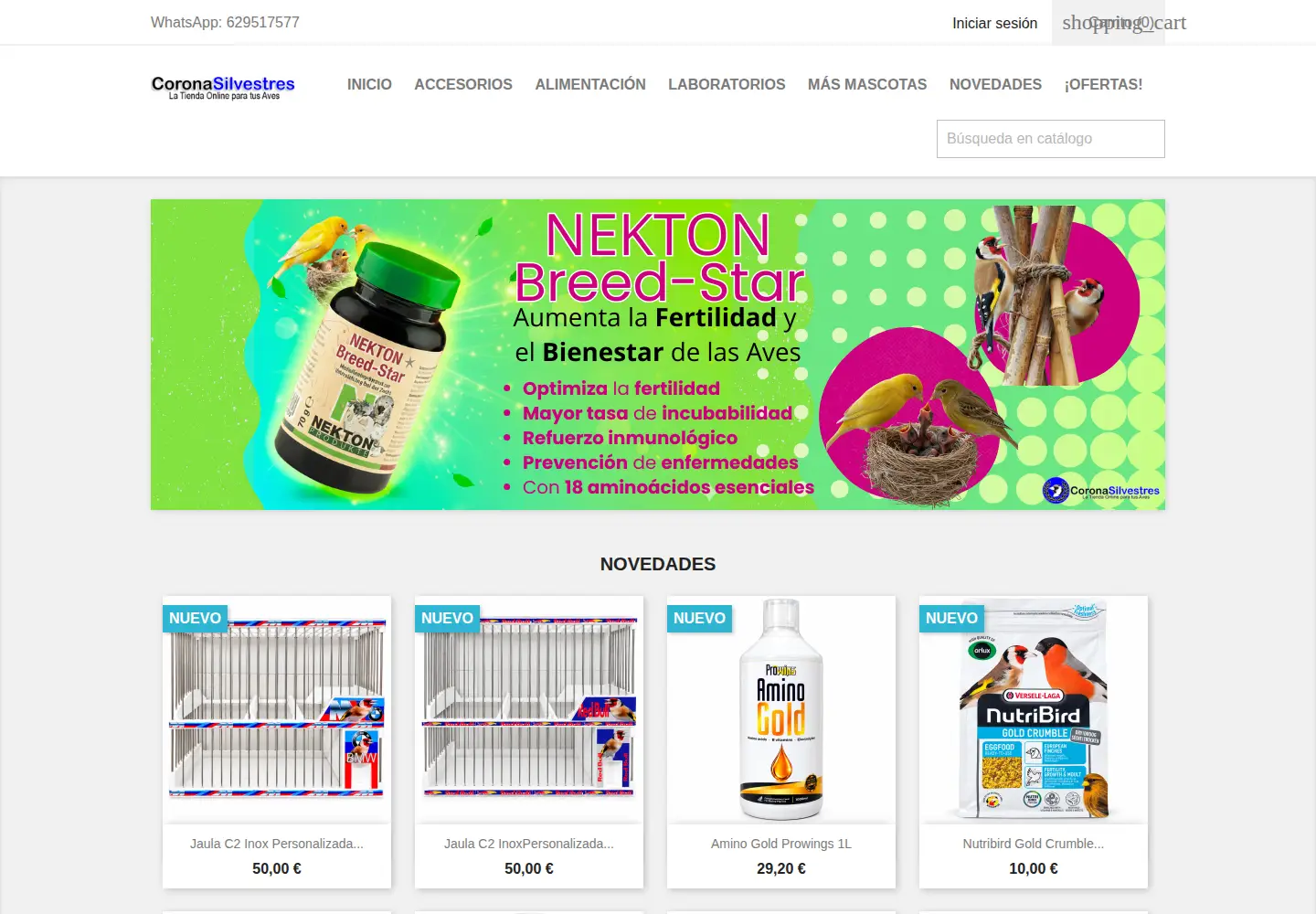 Captured homepage of coronasilvestres.com in the current scan