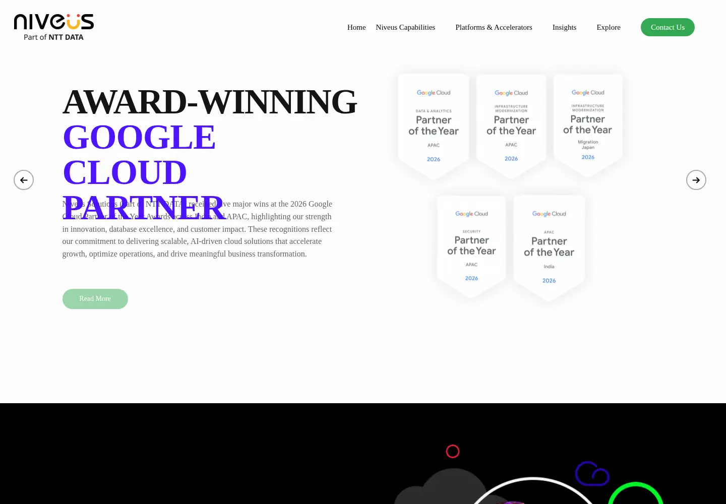 Screenshot of niveussolutions.com