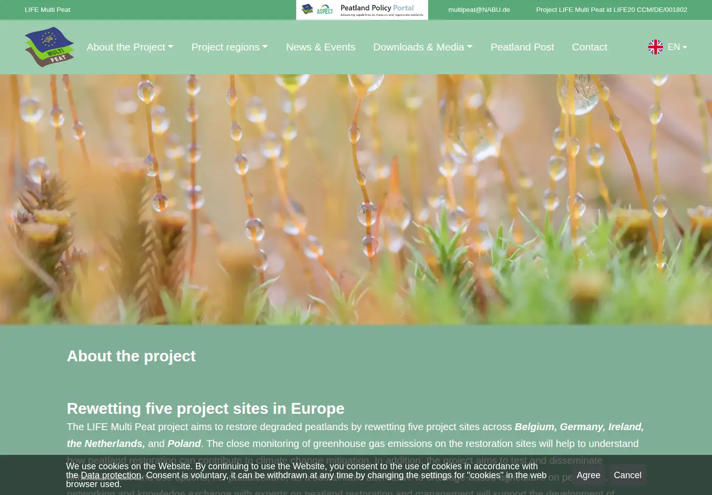 Captured homepage of multipeat.org in the current scan
