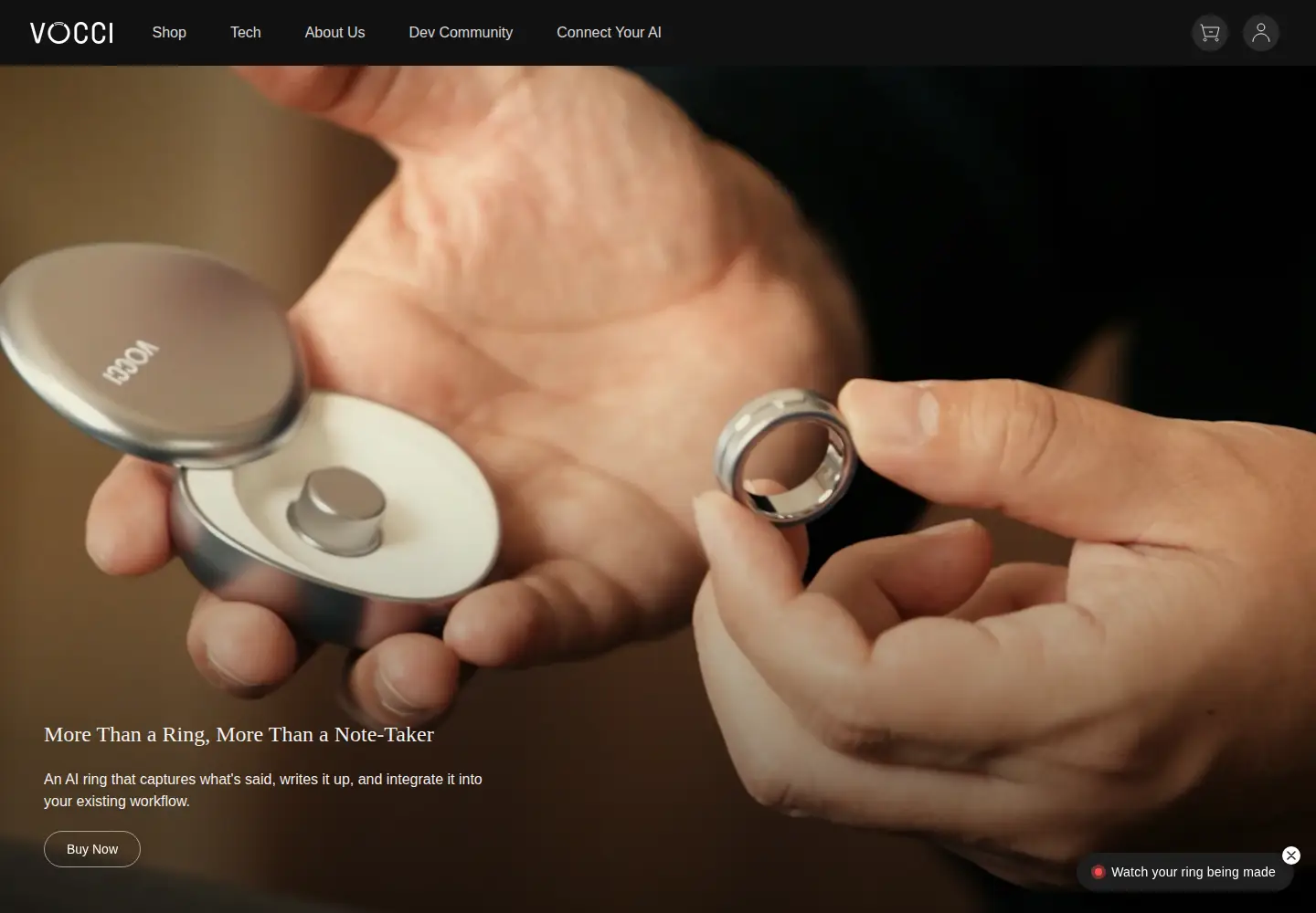 Screenshot of vocci.ai