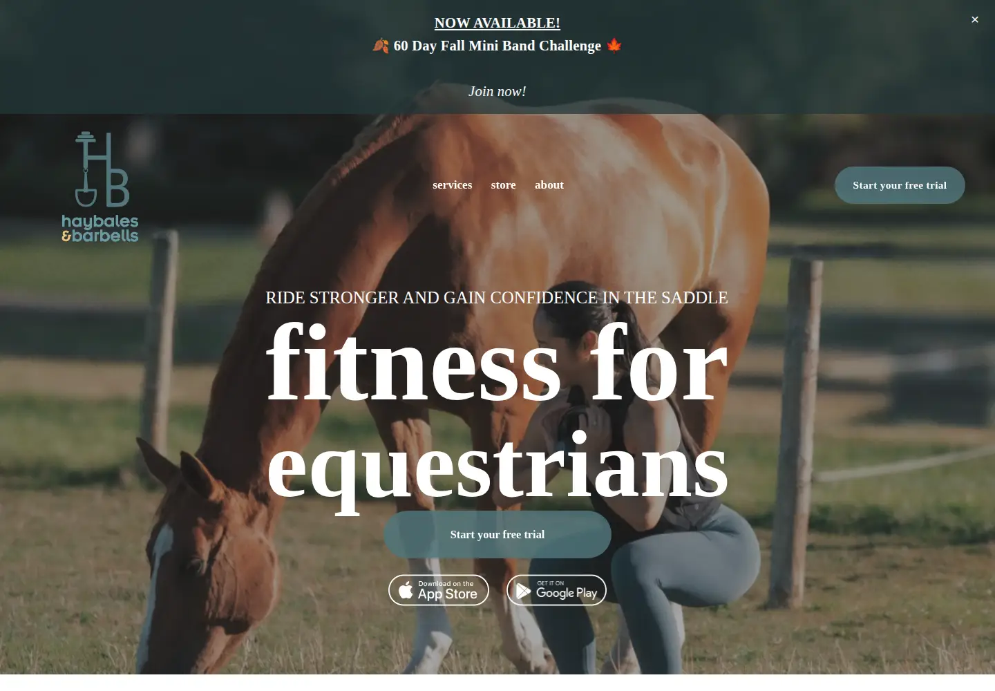 Screenshot of haybalesandbarbells.com