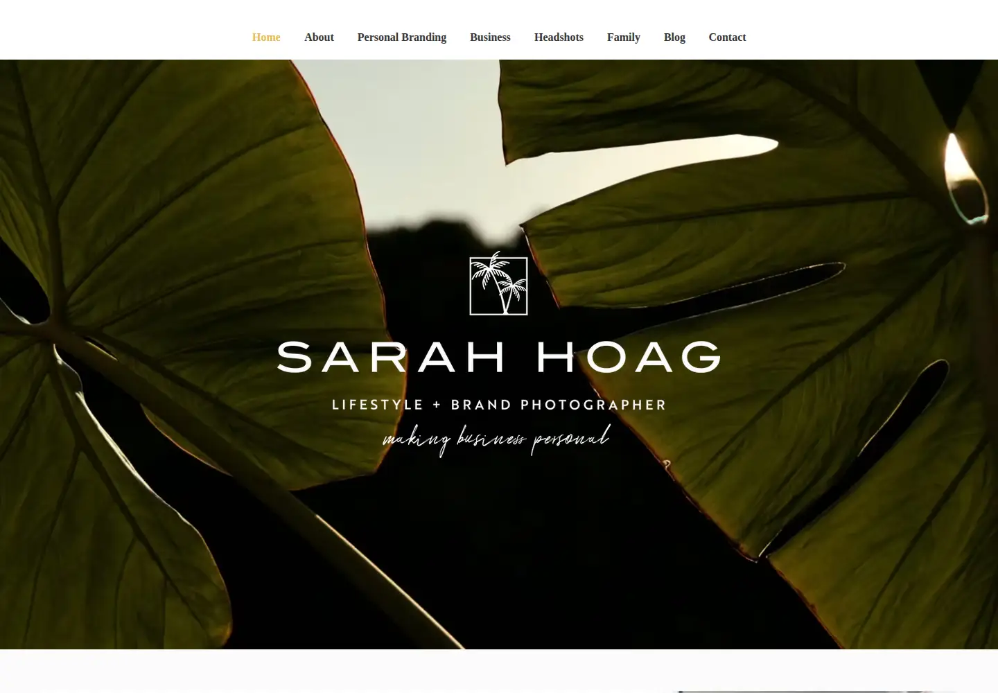 Screenshot of sarahhoagphotography.com