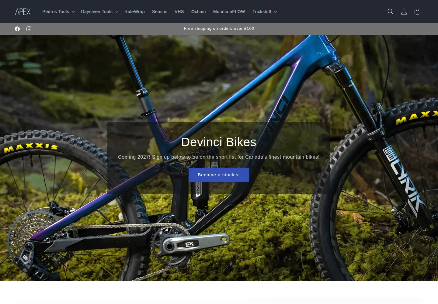 Captured homepage of apex-dst.uk in the current scan