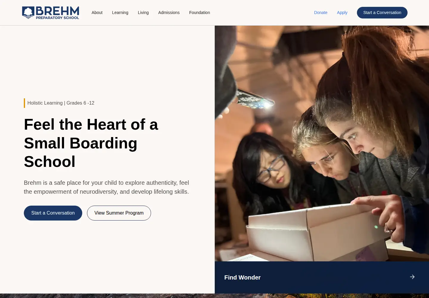 Captured homepage of brehm.org in the current scan