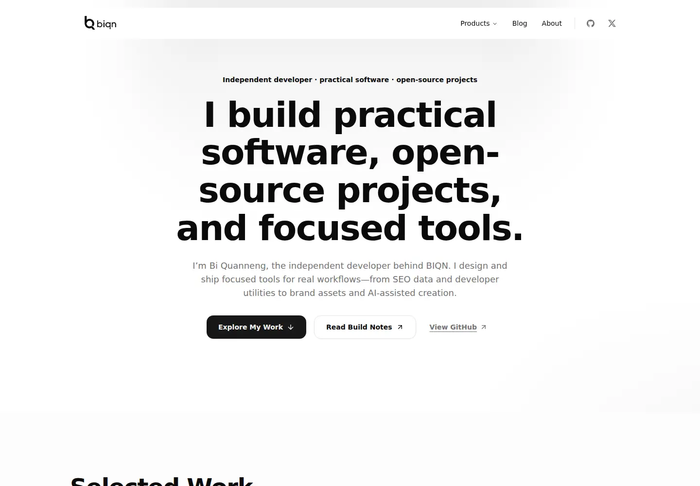 Captured homepage of biqn.dev in the current scan