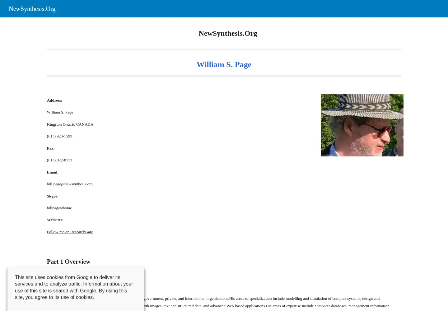 Screenshot of newsynthesis.org