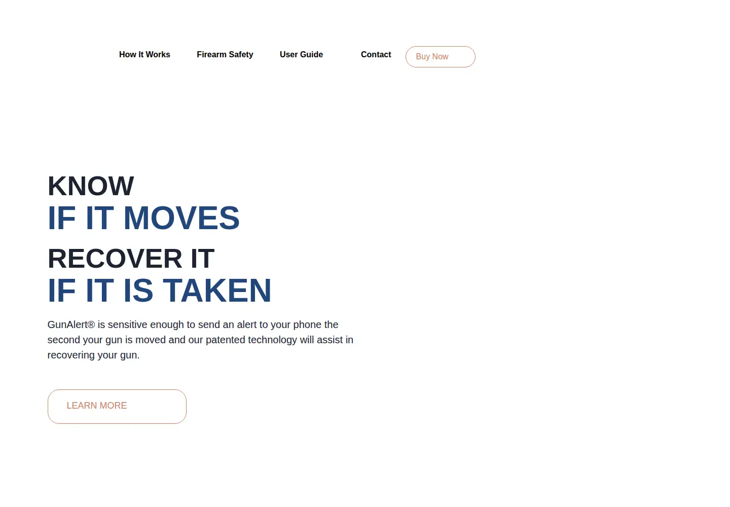 Captured homepage of mygunalert.com in the current scan