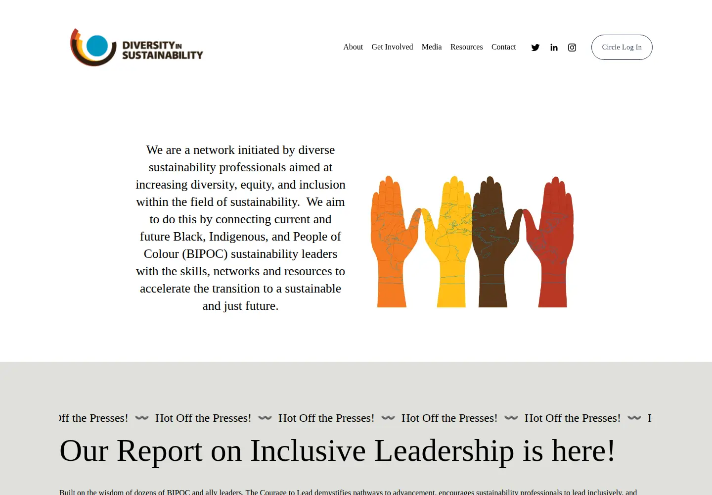 Screenshot of diversityinsustainability.com