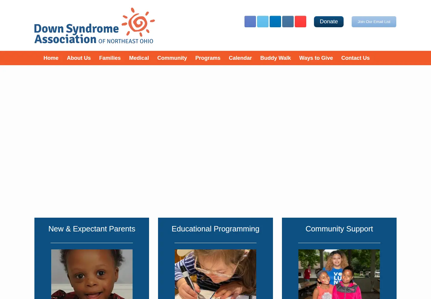 Captured homepage of dsaneo.org in the current scan