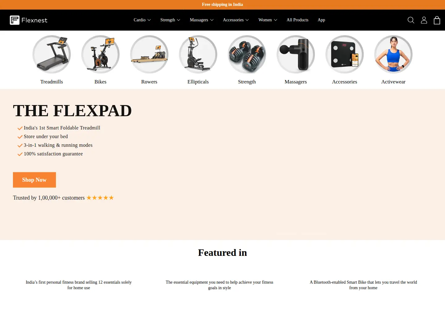Captured homepage of theflexnest.com in the current scan