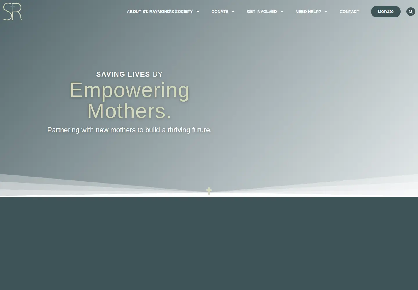 Screenshot of srshelp.org