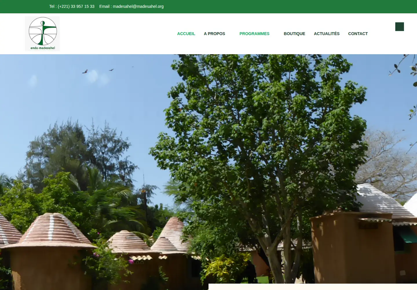 Screenshot of madesahel.org