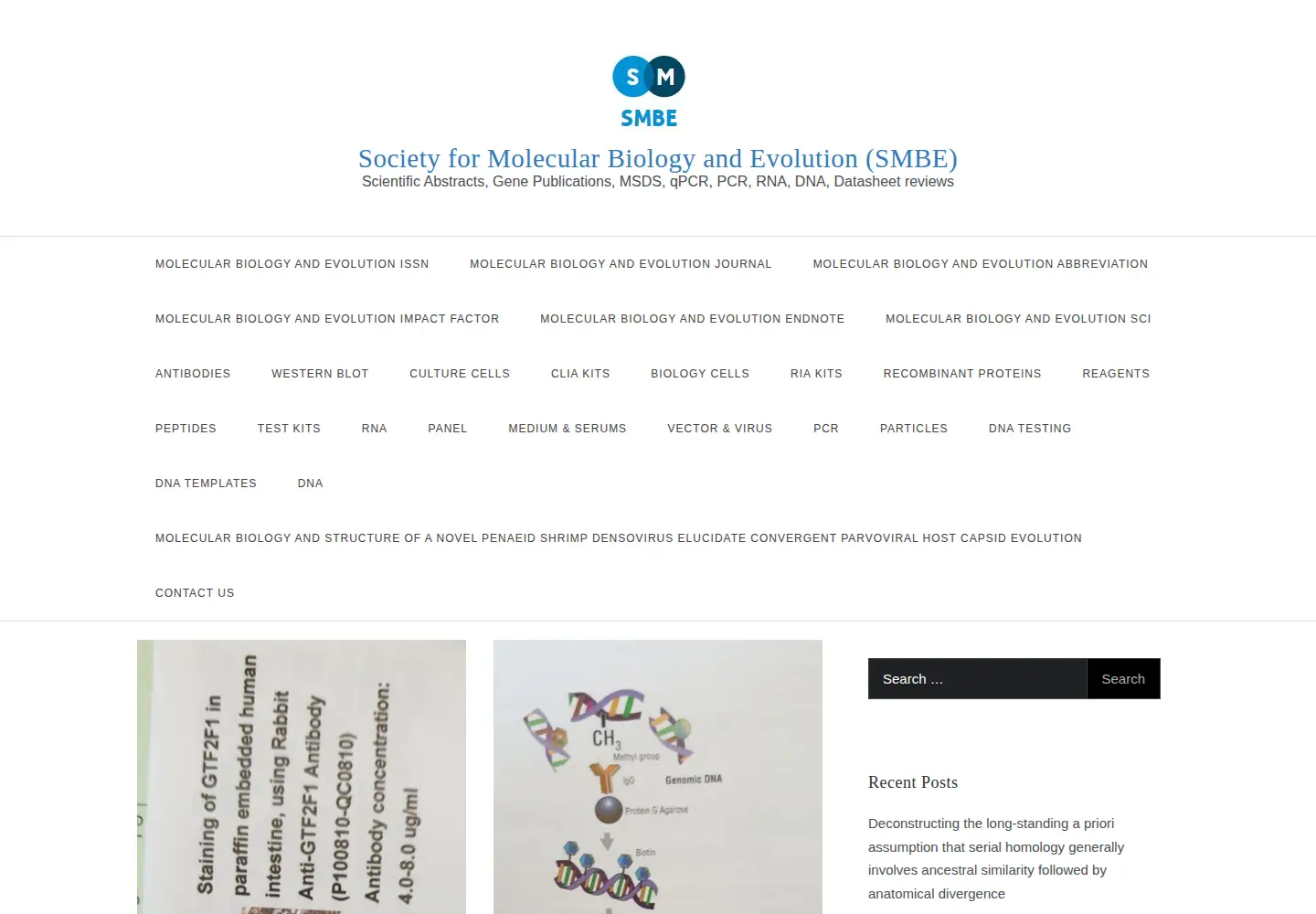 Captured homepage of smbe2019.org in the current scan